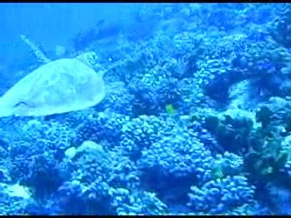 Et puis il faut bien la laisser partir.....