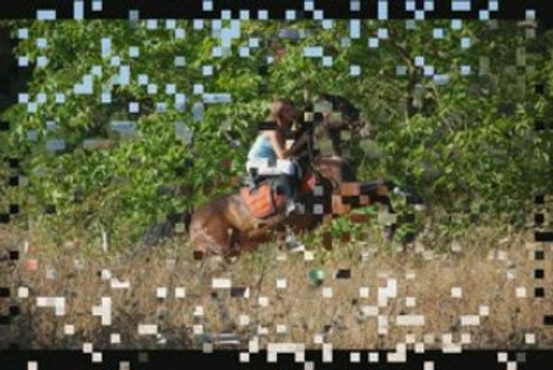 Mon poney, mon bonheur. L & G