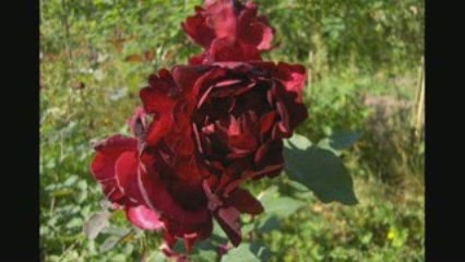 Océane - Les vacances