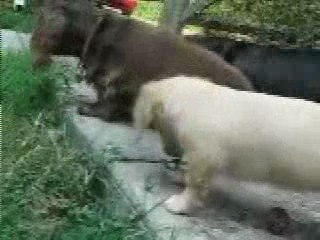 So funny