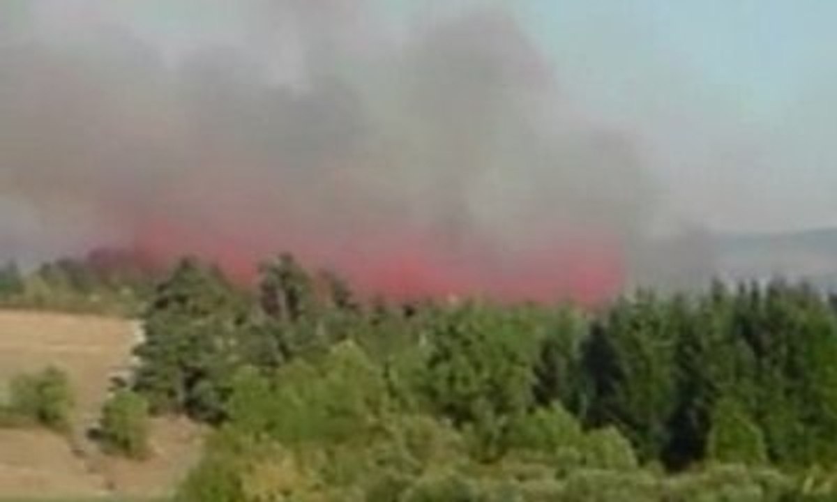 Incendie à Périgneux dans la Loire 1er Août 2009