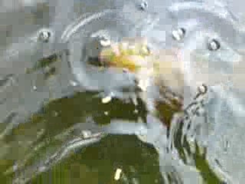 V020809_16.42