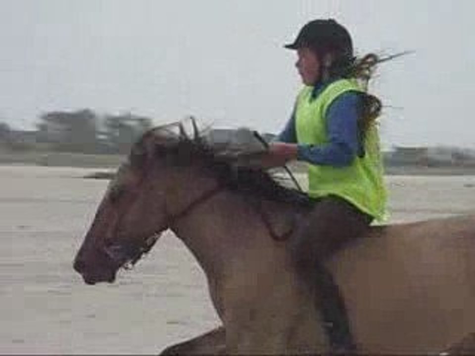 Course de Chevaux sur la Plage