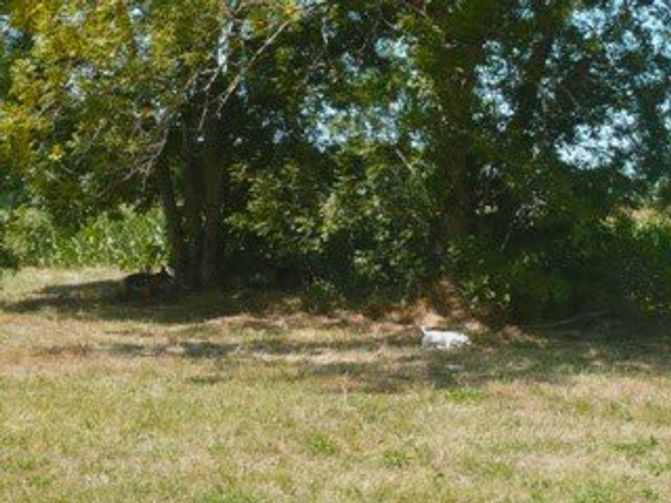 Nos vacances juillet 2009