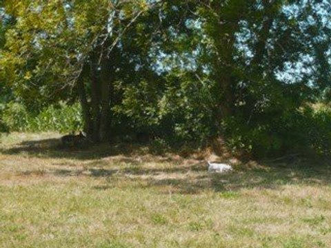 Nos vacances juillet 2009