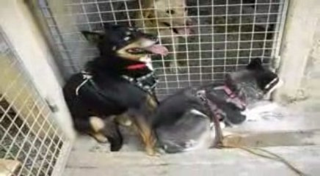 Winnie + nouveau harnais + corde