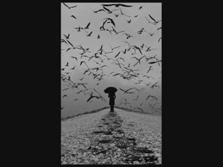 Talha Bora Öge Korkmuyorum Seni sevmekten