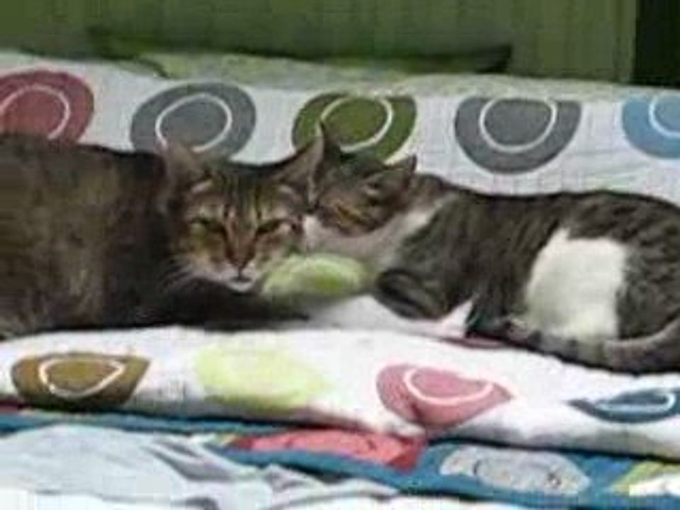 DANI Y LUNA