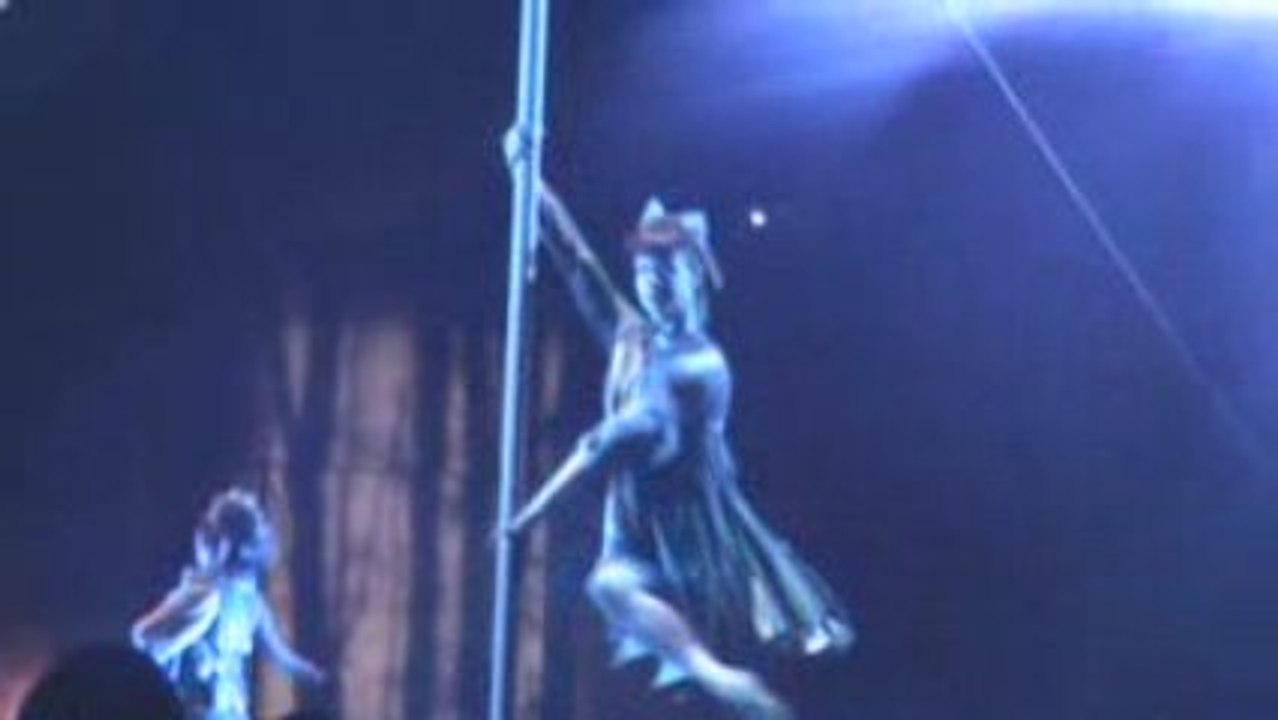 Cirque du Soleil - Le Reve Continue