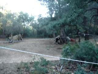 EVG-EVJF : Paintball