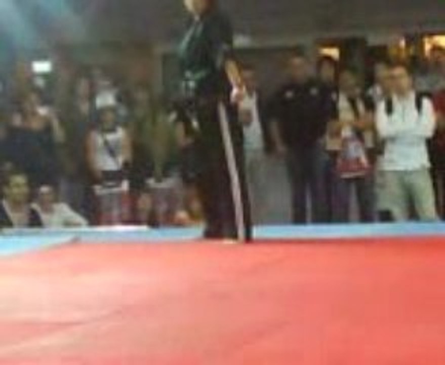 Japan expo 2008