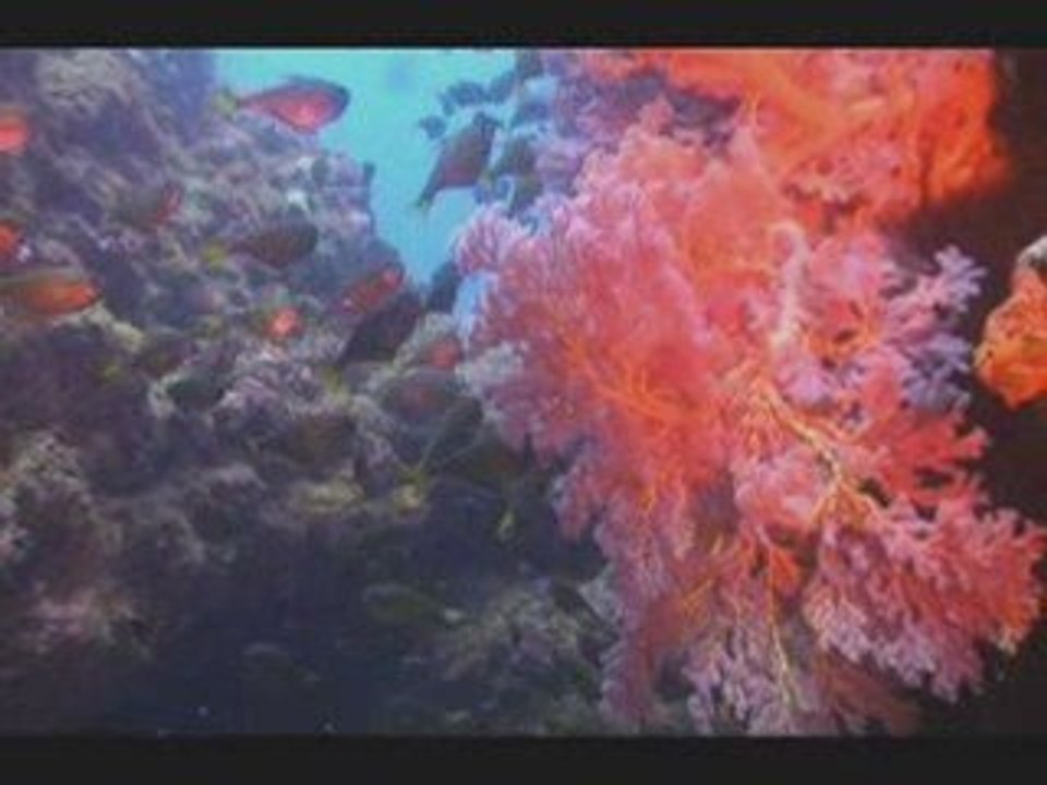 The Mackerel Islands, Kimberley Western Australia