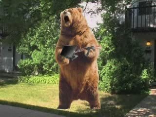 Help! I'm Trapped In the House By A Bear