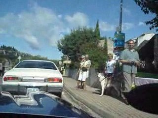 traversé du pont du gard
