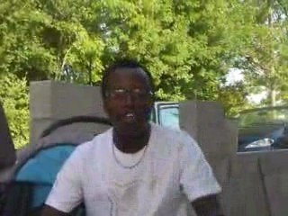 full bugs escro 33 54