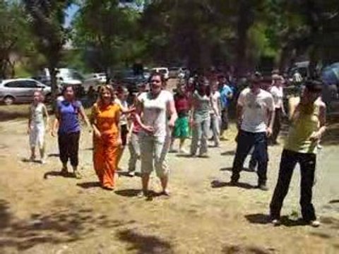 branichevo.com sunar (sharvi koyu) piknik ali gali oyunu