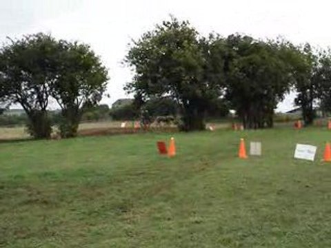 Fête du cheval à Tavigny le 2 août 2009