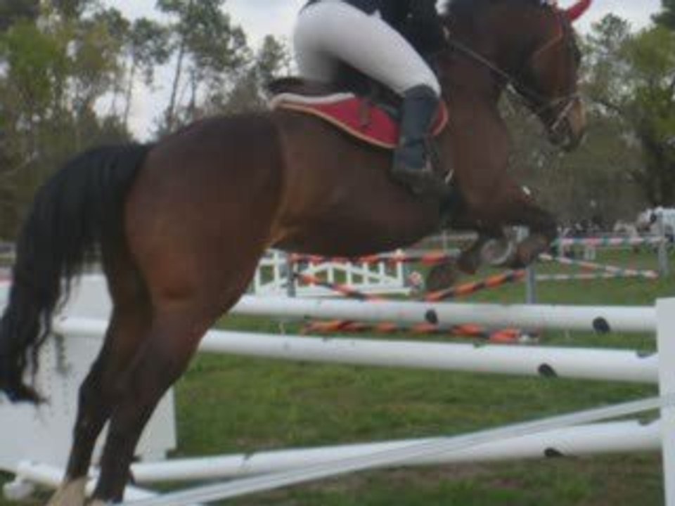 19 Avril 2009 7. épreuve à 105cm b. Vanessa avec IROS