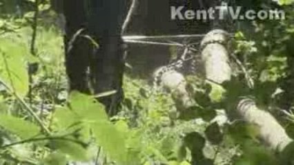 Wye National Nature Reserve