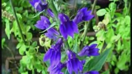 TEST 2 - Filtre SONY VEGAS 8 pro