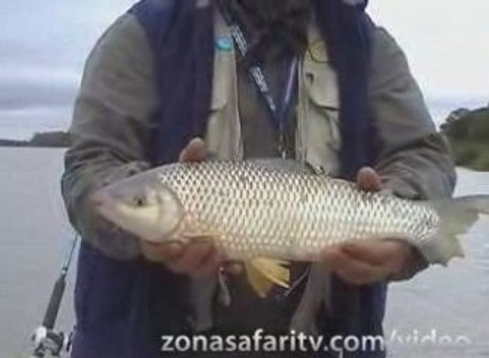 Relevamiento de pesca en Empedrado #5