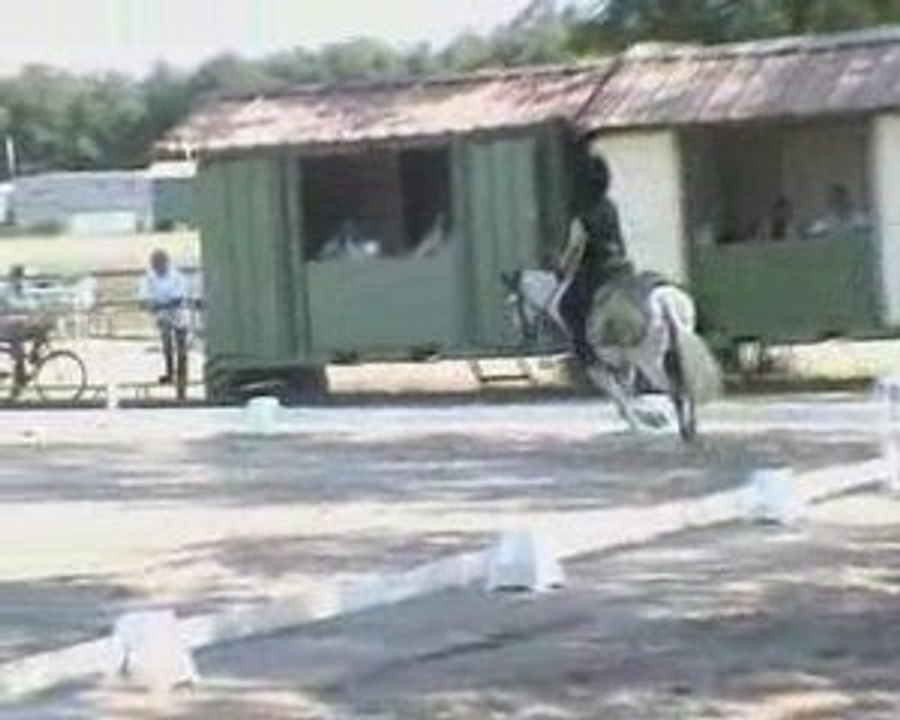 Lamotte 2009 RLM Solenn