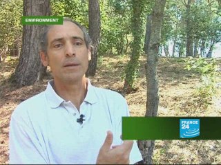 Carbon captors going up in smoke