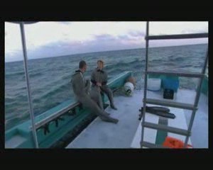 charmer les requins Parti3sur5