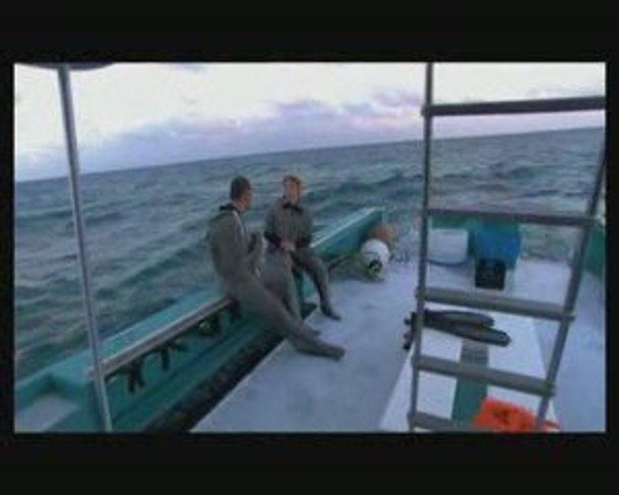 charmer les requins Parti3sur5