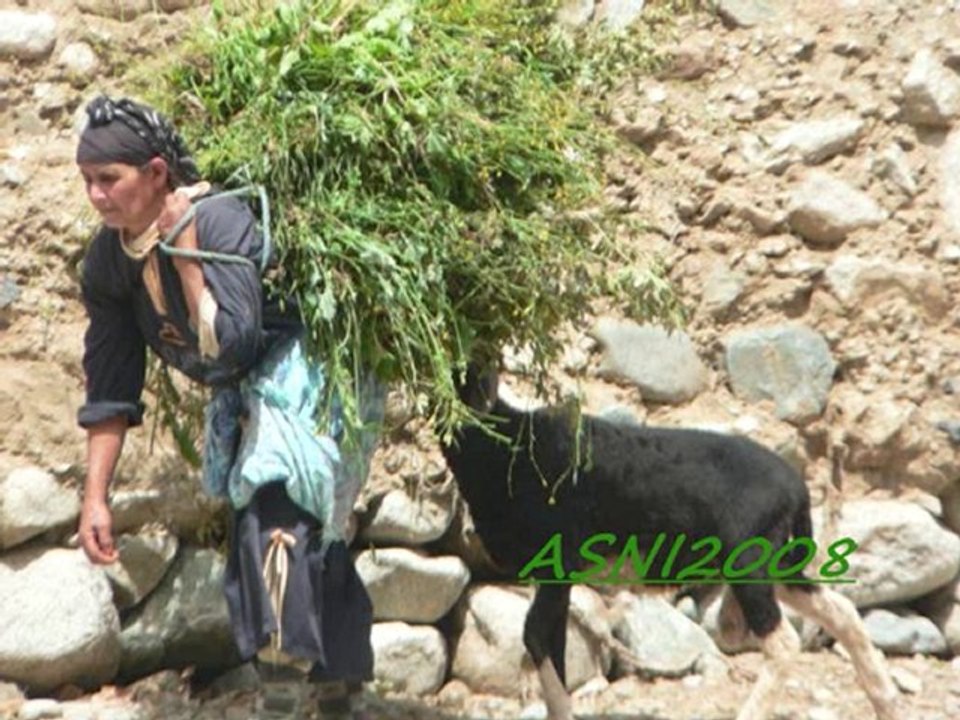 ALI CHOUHAD PARTI 3 NEW 2009