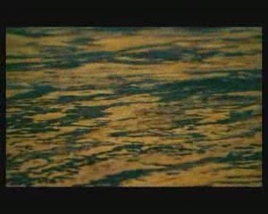 charmer les requins Partie 1sur5