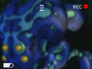 Nanovor: They're Alive (Season 1, Ep. 1)