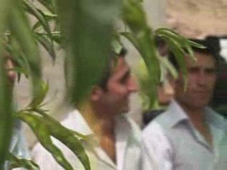 1-2 Ağustos düğünleri (3)