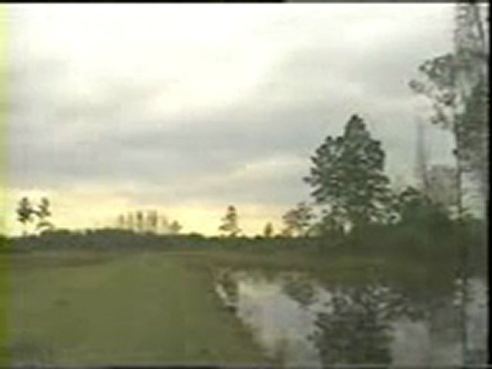 Green Swamp, Part 4 of 4