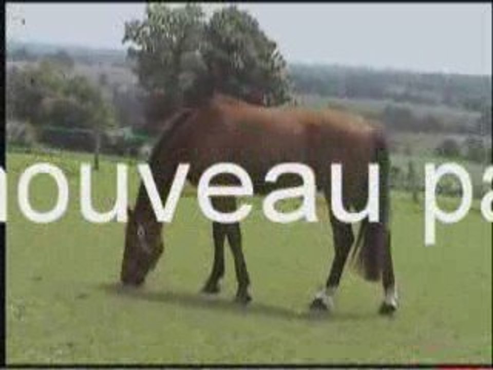 didi au ranch