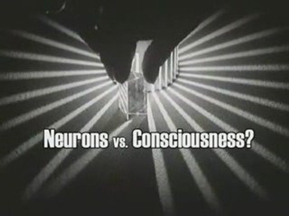 A Glorious Piece of Meat - The Neural Basis of Consciousness