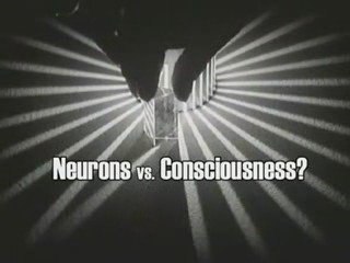A Glorious Piece of Meat - The Neural Basis of Consciousness