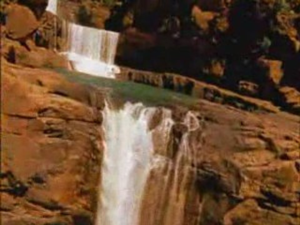 The Real Star of Australia TV Commercial