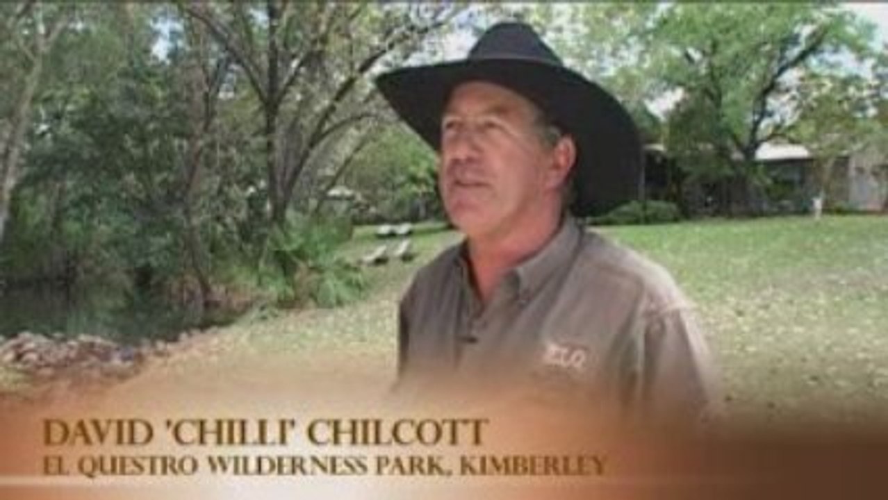 The movie buff's guide to 'Australia'