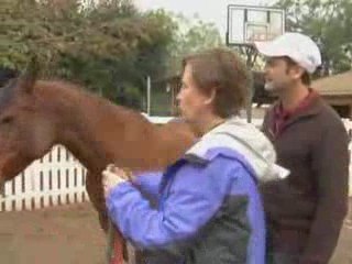 CHY - Equine Assisted Learning