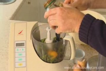 Easy to Make Dog Food, Homemade Dog Food