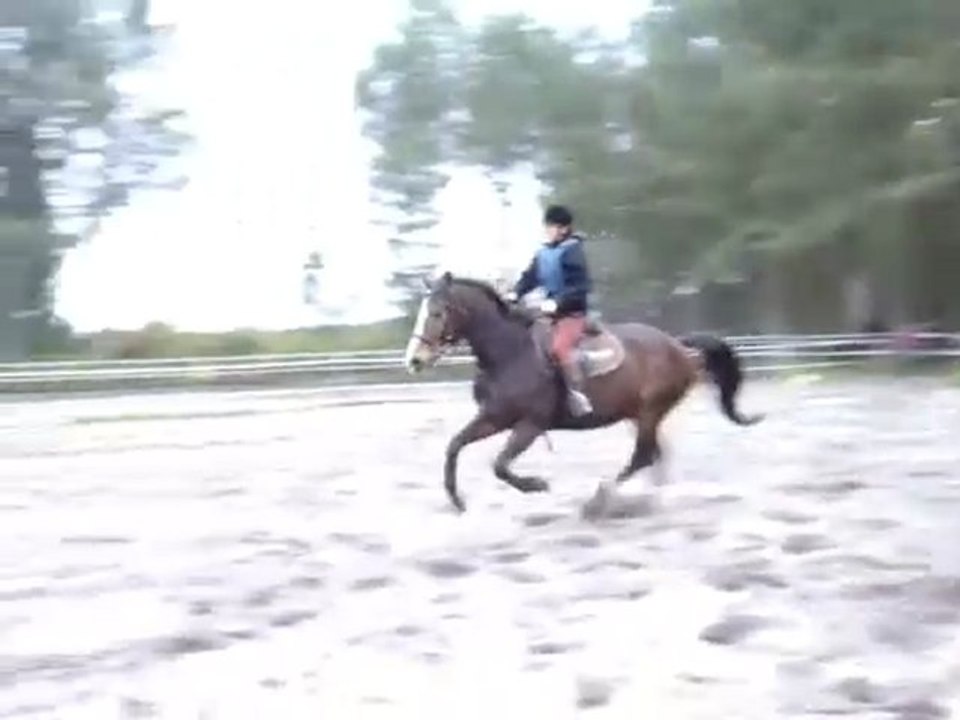 Iros son arrivée dans la vie de Vanessa