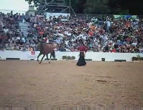 Tarbes festival Equestria dimanche 2 août piste ouverte