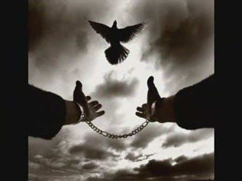 ACI ÇEKMEK ÖZGÜRLÜKSE-AHMET KAYA