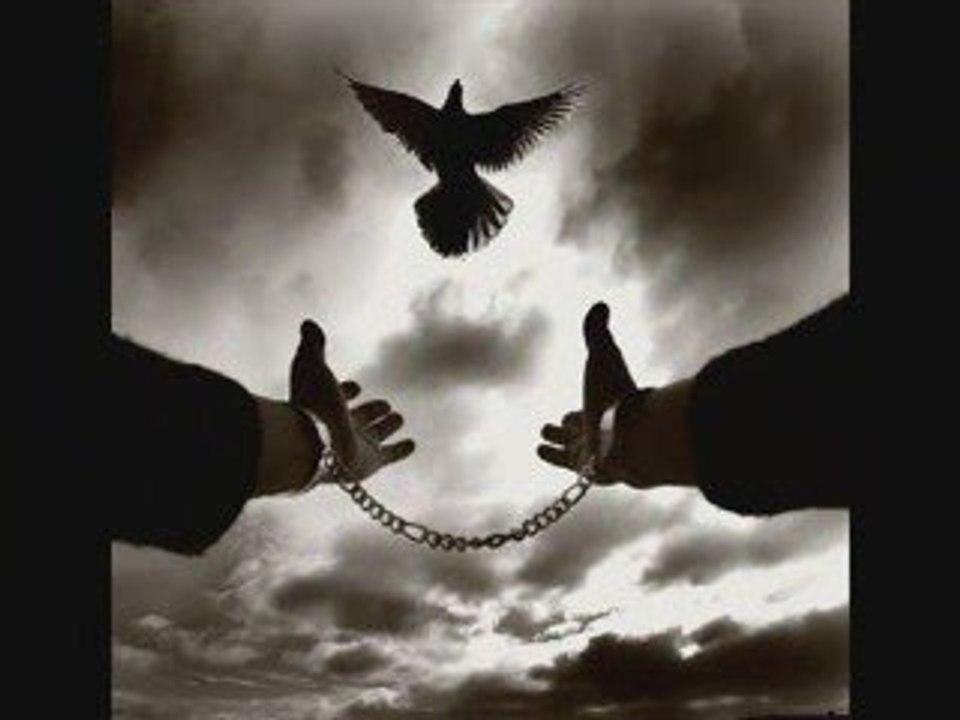 ACI ÇEKMEK ÖZGÜRLÜKSE-AHMET KAYA