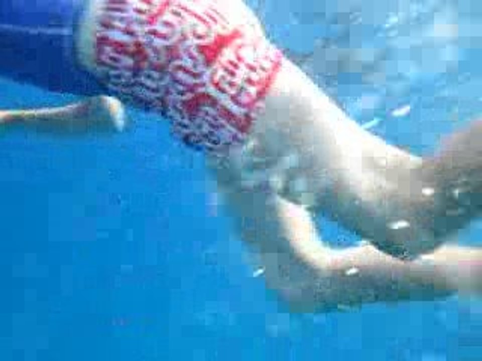 Nage avec les Dauphins à long bec, mer rouge 27/08/2009