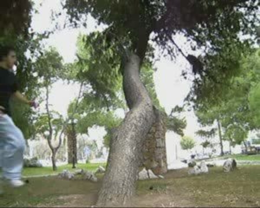 DJNK PARKOUR TEAM gr