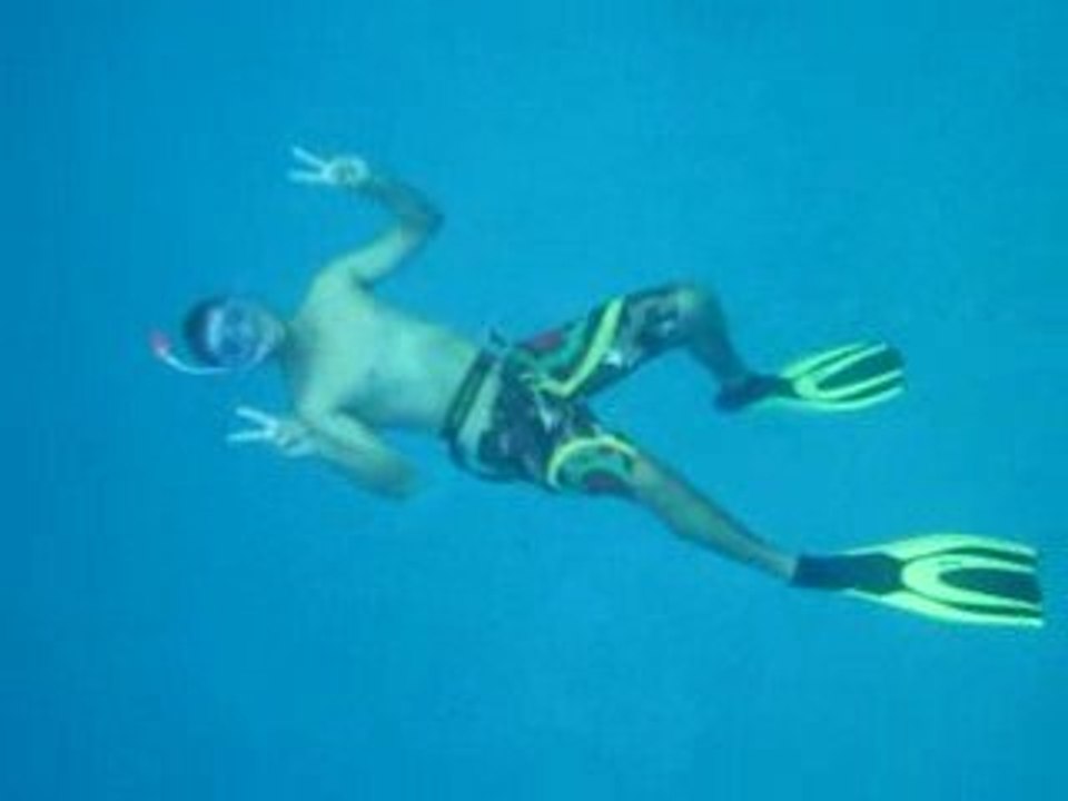 Yann caresse les dauphins à long bec