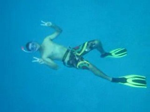 Yann caresse les dauphins à long bec