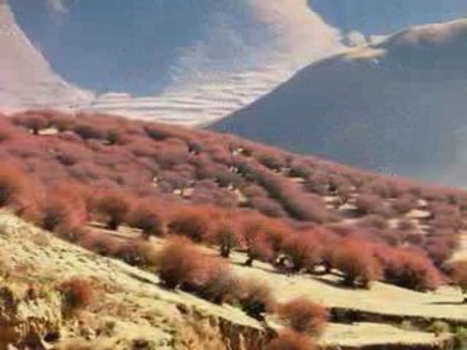 Tibet